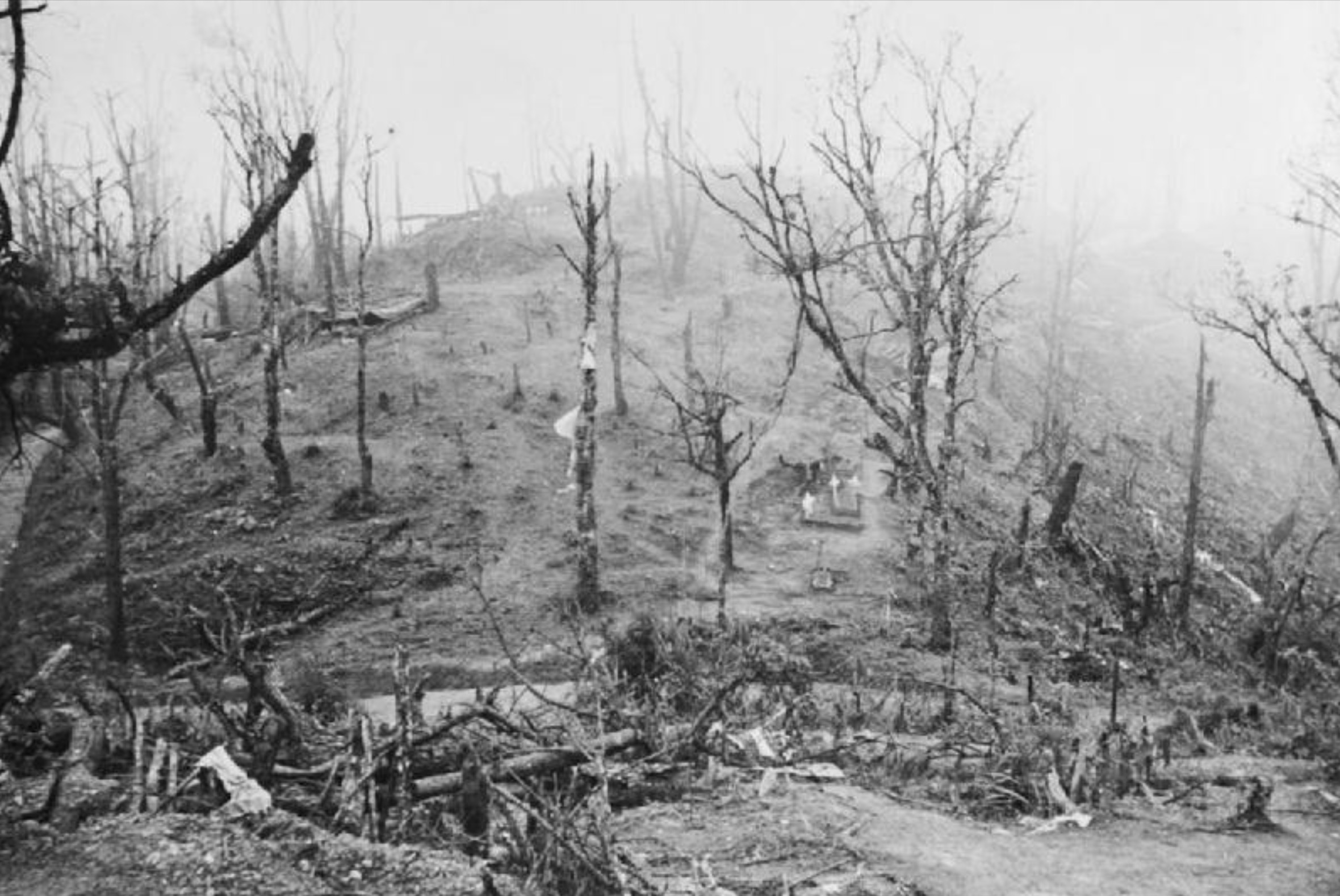 View of the Garrison Hill battlefield, the key to the British defences at Kohima. 